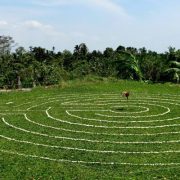 Labyrinth from side