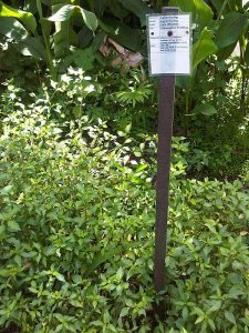 bali-silent-retreat-kumis-kucing-w-sign