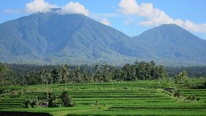 View of the mountain