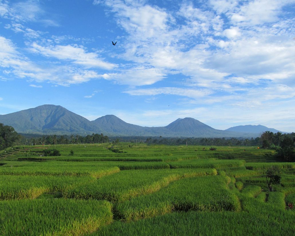 When Ego & Silence Meet - a meditation dance - Bali Silent Retreat