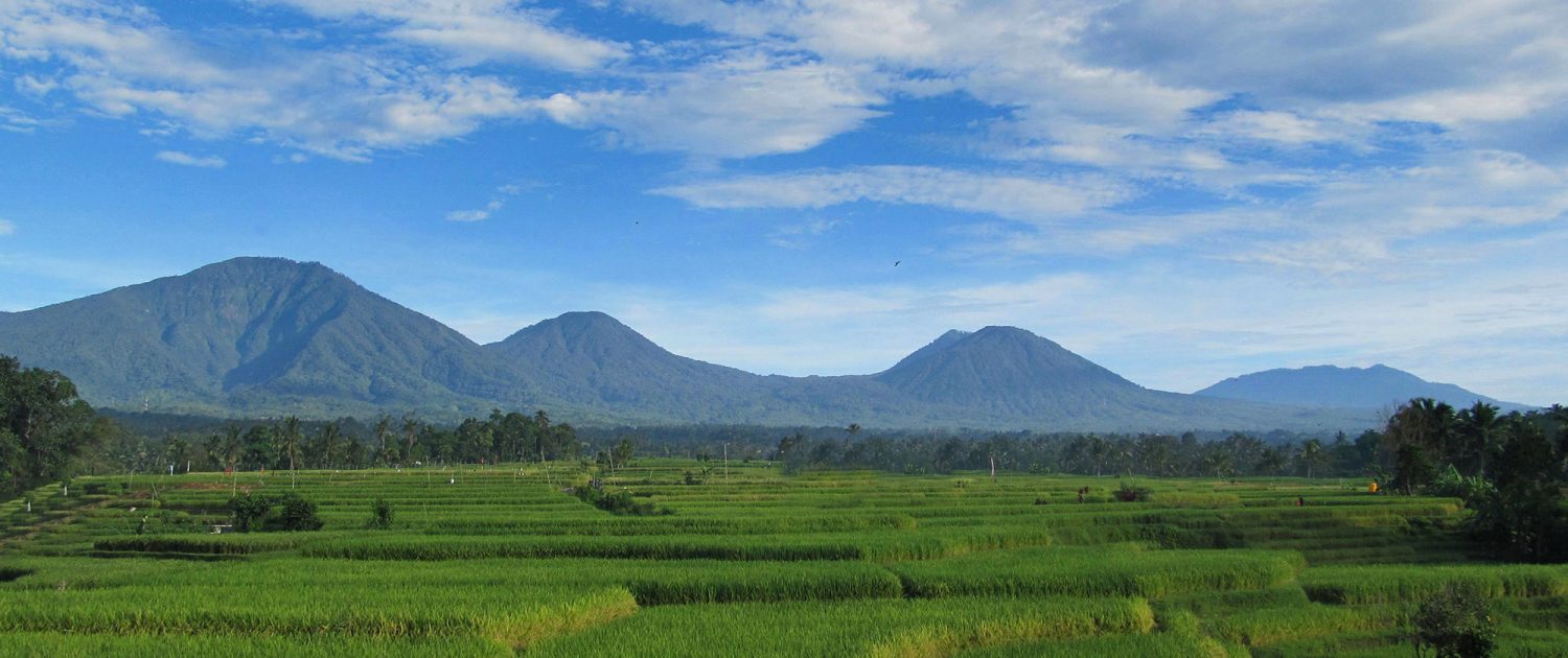 Bali Silent Retreat Mount Batukaru