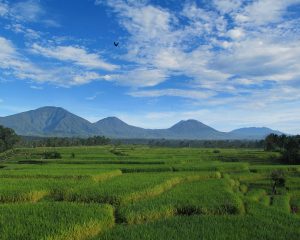 Bali Silent Retreat Mount Batukaru