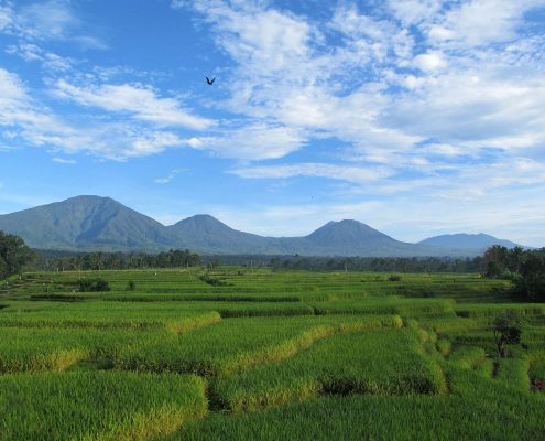 Bali Silent Retreat Mount Batukaru