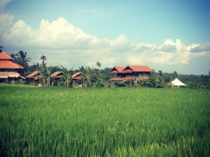 Bali Silent Retreat pradnya