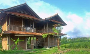 Bali Silent Retreat Delux Wooden Bungalow