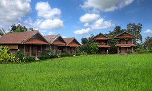 Bali Silent Retreat Wooden Bungalows