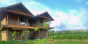 Bali Silent Retreat Delux Wooden Bungalow