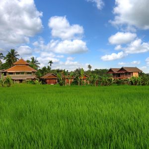 Bali Silent Retreat frontscape