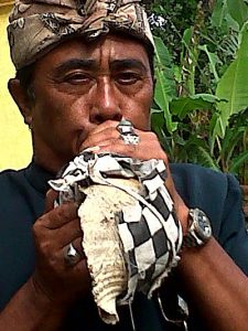 Lontar-shell-horn-and-Karmina
