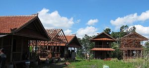 5 bungalows