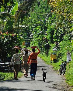 Bedugul Simple Life