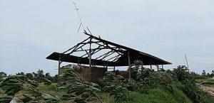 35-40kph winds – Blowing the roof off the gudang! Tin flying everywhere – OMG!