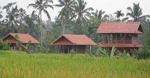 Bungalows with roof