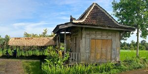 Bali Silent Retreat - Chat zone