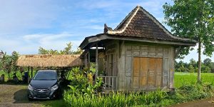 Bali Silent Retreat - Chat zone