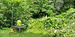 Bali Silent Retreat - Crying Bench