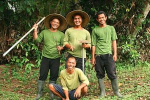 Garden Crew
