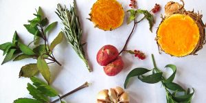 Bali Silent Retreat Herbs