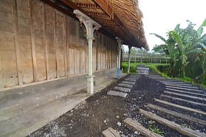 Joglo coklat path