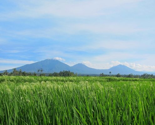 Bali Silent Retreat - Mountain range and rice terrace