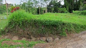 Original foundation stones from the original ashram in 1487, found by the garden crew in June 2012.