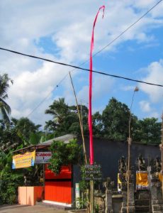 Pink umbul-umbul