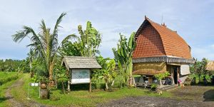 Bali Silent Retreat - Reception