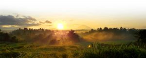 Bali Silent Retreat - Sunrise