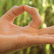 Bali Silent Retreat Yoga Mudra