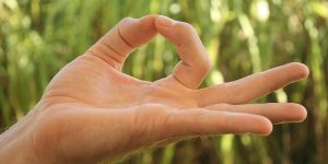 Bali Silent Retreat Yoga Mudra
