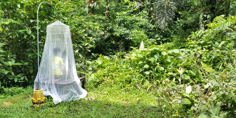 Bali Silent Retreat - Crying Bench with mosquito net