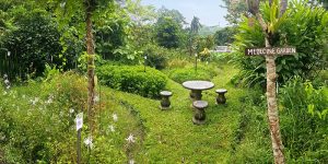 Bali Silent Retreat - Medicine Garden