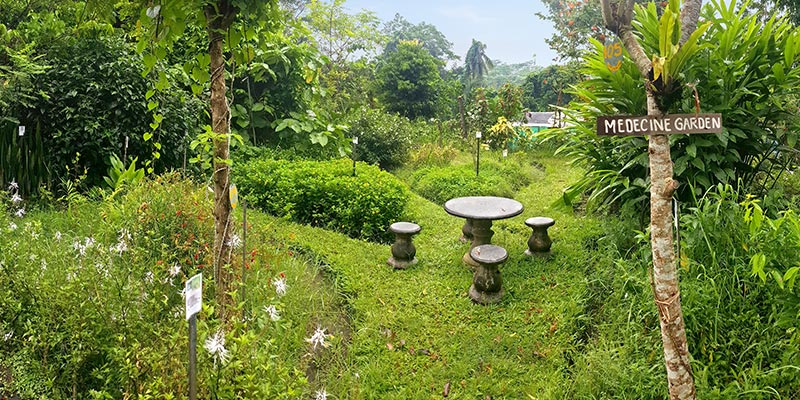 Bali Silent Retreat - Medicine Garden