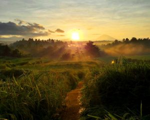Bali Silent Retreat Sunrise