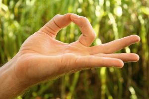 Bali Silent Retreat Yoga mudra