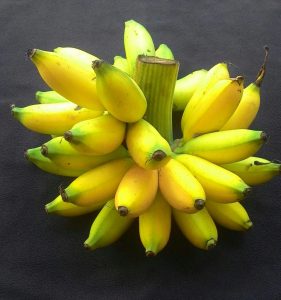 Banana