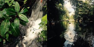 Creek and Waterfall of Truth