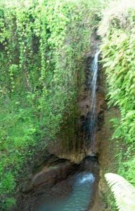 Hydro Creek Falls