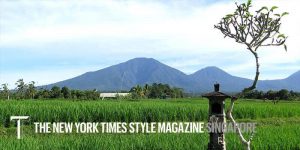 No speaking. No phone coverage And no access to Wi-Fi The New York Times Singapore