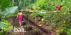 What silence sounds like Hello Bali Guide