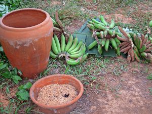 Banana
