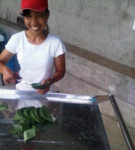 Banana leaf Made