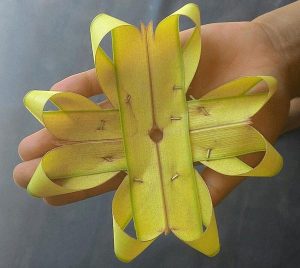 Canang holder star