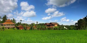 Bali Silent Retreat frontscape