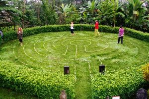 Labyrinth walking meditation