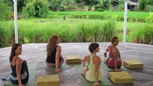 Take a twist - Four Continents, Four Heart Beats, One Intention