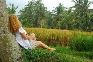 Relax rice field walk