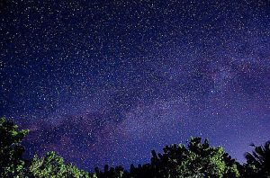 Stars