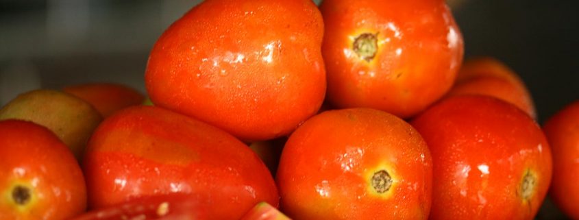 Tomato season