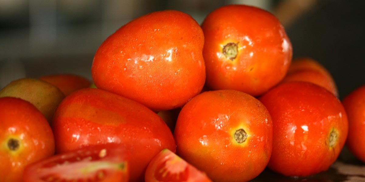 Tomato season